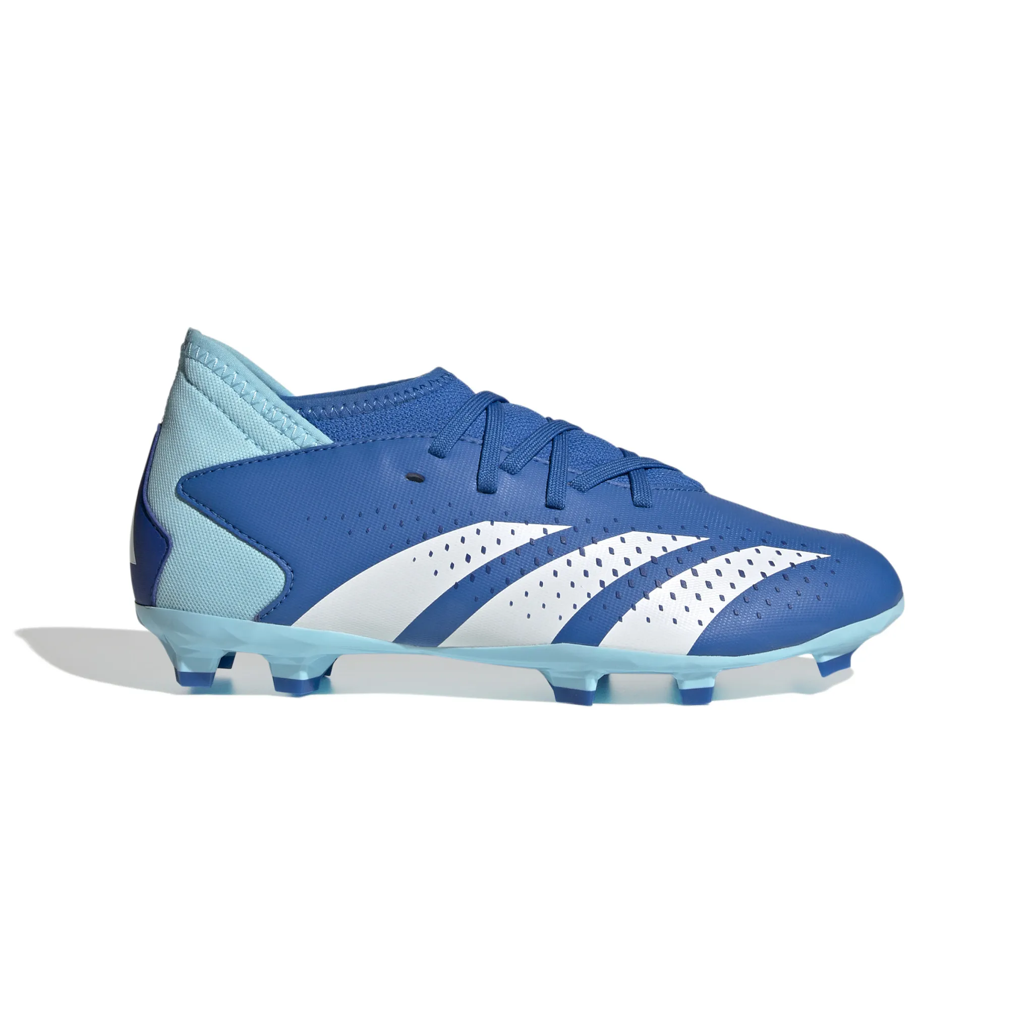 Adidas Predator Accuracy.3 FG Jr (Blue/White)